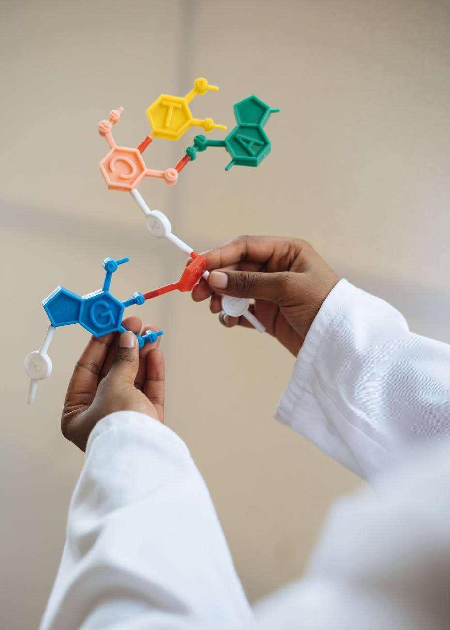 Close-up of a scientist's hands holding a colorful molecular model in a lab setting.